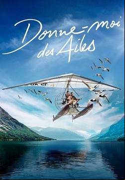 Donne-moi des ailes FRENCH DVDRIP 2020