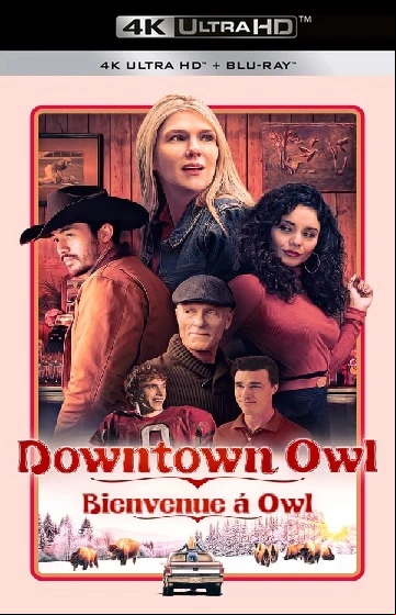 Downtown Owl MULTI ULTRA HD 4K 2024