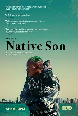 Native Son FRENCH WEBRIP 1080p 2019