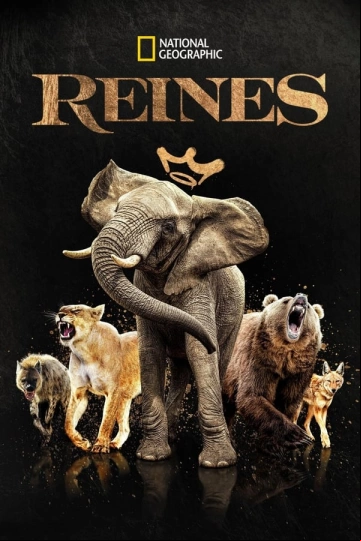 Reines Saison 1