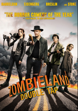 Retour à Zombieland FRENCH DVDRIP 2019