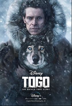Togo FRENCH WEBRIP 720p 2019